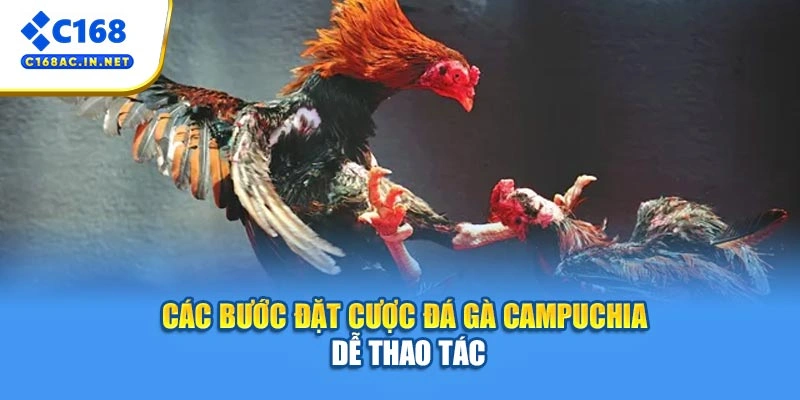 Đá Gà Campuchia – Sân Chơi Trực Tuyến Đỉnh Cao Kịch Tính 4 Các bước đặt cược đá gà Campuchia dễ thao tác